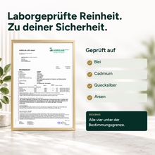 Lade das Bild in den Galerie-Viewer, Leber Plus – Mariendistel Komplex