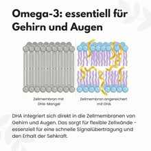 Lade das Bild in den Galerie-Viewer, Omega 3 Kapseln aus Algenöl - Vegan