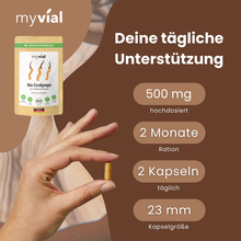 Lade das Bild in den Galerie-Viewer, Bio Cordyceps Kapseln