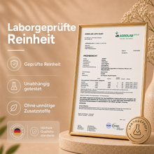 Lade das Bild in den Galerie-Viewer, Kinderwunsch – Pränatale Vitamine
