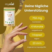 Lade das Bild in den Galerie-Viewer, MSM Kapseln