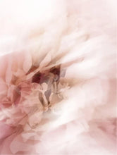 Lade das Bild in den Galerie-Viewer, Smoothing Eye Cream