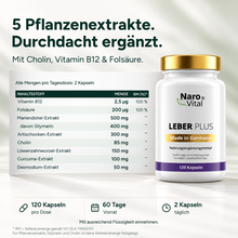 Lade das Bild in den Galerie-Viewer, Leber Plus – Mariendistel Komplex
