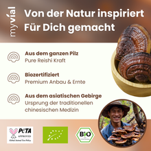 Lade das Bild in den Galerie-Viewer, Bio Reishi Pulver
