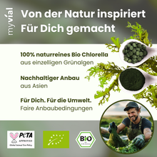 Lade das Bild in den Galerie-Viewer, Bio Chlorella Pulver
