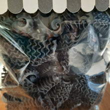 Lade das Bild in den Galerie-Viewer, Pottnudel Pottpasta 300g
