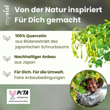 Lade das Bild in den Galerie-Viewer, Quercetin Kapseln
