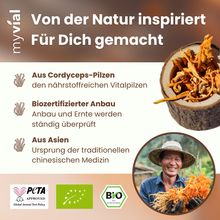 Lade das Bild in den Galerie-Viewer, Bio Cordyceps Kapseln
