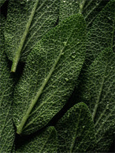 Lade das Bild in den Galerie-Viewer, Microbiome Prebiotics Face Mist
