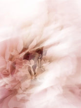 Lade das Bild in den Galerie-Viewer, Hydrating Serum
