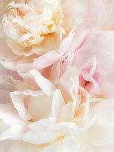 Lade das Bild in den Galerie-Viewer, Gentle Baby Shampoo
